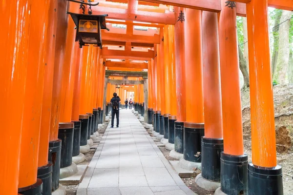 Кіотського - 2016 24 листопада: Torii шлюзів у Fushimi-Inari Taisha м — стокове фото