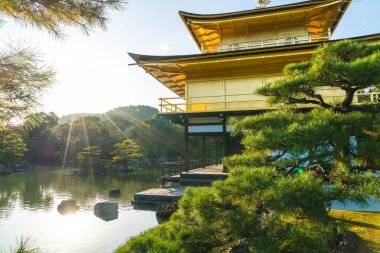 Kinkakuji Tapınağı (altın köşk güzel mimari)