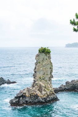 Jeju-do Oedolgae kaya (ünlü doğal landmark) Jeju Adası,