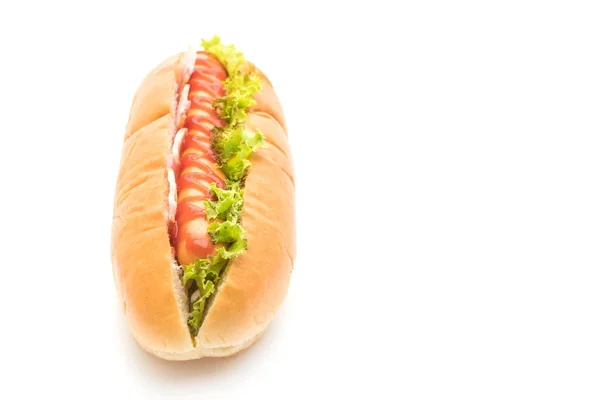 Hot dog salsiccia con ketchup — Foto Stock