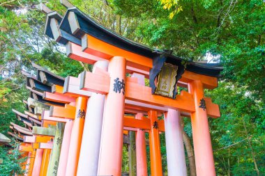 Kırmızı tori gate adlı fushimi Inari tapınak Kyoto, Japonya.