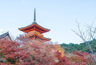 Kiyomizu-dera Tapınağı güzel mimari Kyoto,.