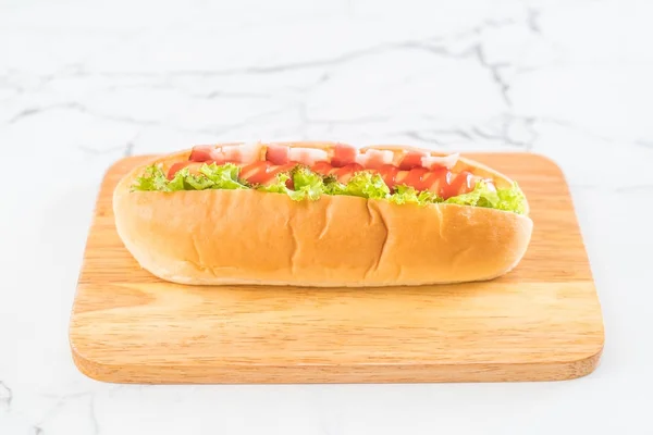 Hot dog salsiccia con ketchup — Foto Stock