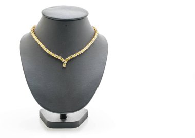 güzel ve lüks kolye takı ile boyun standı 