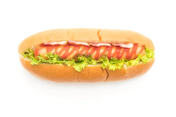 Hot dog salsiccia con ketchup — Foto Stock