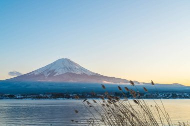 Dağ Fuji San Kawaguchiko Gölü.