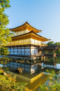 Kinkakuji Tapınağı (altın köşk güzel mimari)