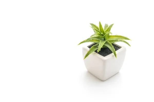 Plastic plant in vase — Stock Photo, Image