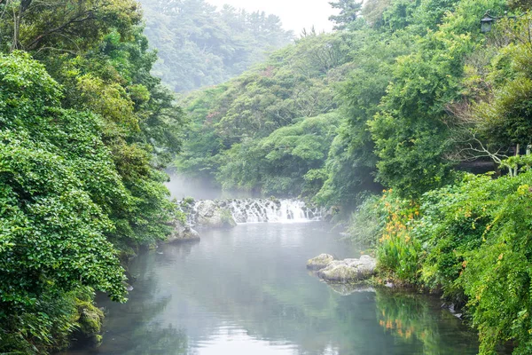 Garden Park w Cheonjiyeon wodospady w Jeju Island — Zdjęcie stockowe