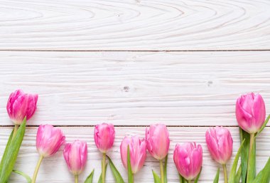 ahşap arka plan üzerinde Pembe Lale çiçek