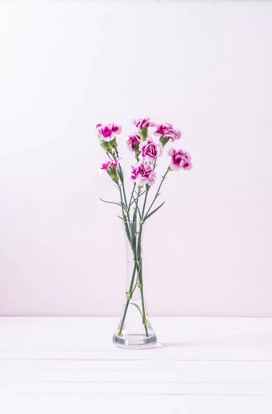 Pink spring flower on wooden background — Stock Photo, Image