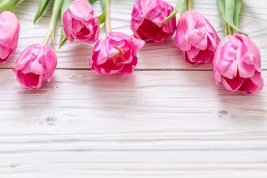 ahşap arka plan üzerinde Pembe Lale çiçek