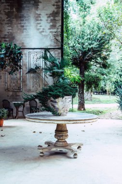 odasında masa dekorasyonu pot bitki