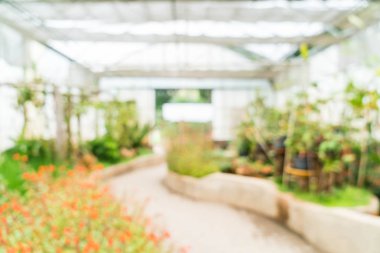 houseplant kreş için bulanıklık