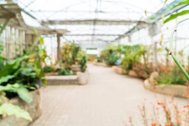 houseplant kreş için bulanıklık