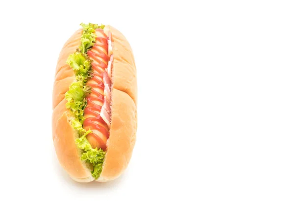 Hot dog salsiccia con ketchup — Foto Stock