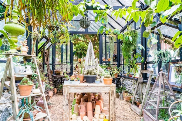 Plante dans la maison en verre — Photo