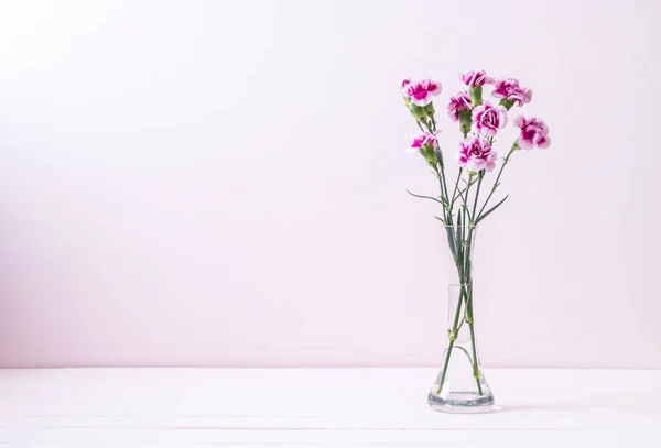 Pink spring flower on wooden background — Stock Photo, Image