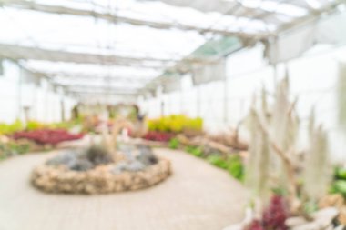 bulanıklık cam ev Bahçe