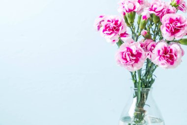 ahşap arka plan üzerinde pembe bahar çiçek