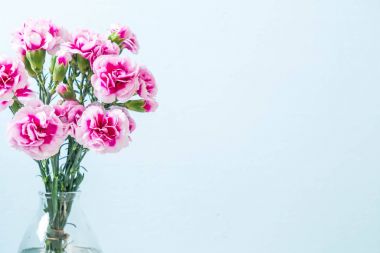 ahşap arka plan üzerinde pembe bahar çiçek