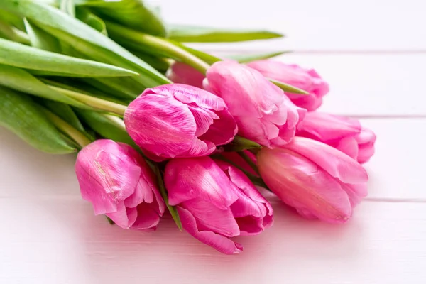Pink tulip flower on wood background Stock Photo