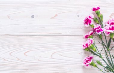 ahşap arka plan üzerinde pembe bahar çiçek