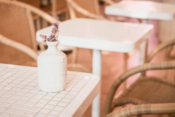 Flor em vaso decoração na mesa — Fotografia de Stock