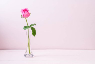 Ahşap arka plan üzerinde cam vazo içinde pembe Gül