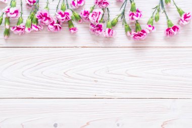 ahşap arka plan üzerinde pembe bahar çiçek