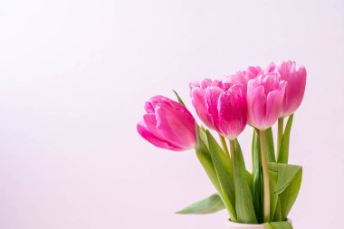 ahşap arka plan üzerinde Pembe Lale çiçek