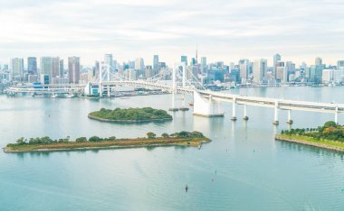 Tokyo siluetinin Tokyo kule ve Gökkuşağı Köprüsü ile. 