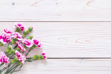 ahşap arka plan üzerinde pembe bahar çiçek