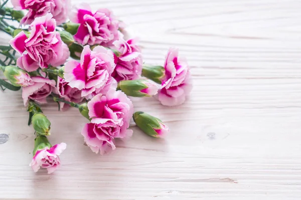 Rose fleur de printemps sur fond en bois — Photo