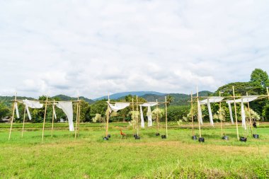 Beyaz kumaş ile çadır