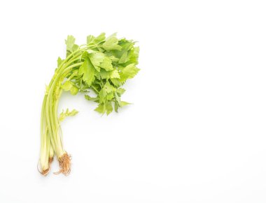 Beyaz arkaplanda taze kereviz