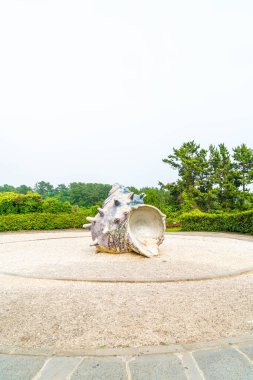 Park adlı Jungmun Daepo sahil Jusangjeolli Cliff, Jeju Adası