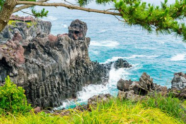 Jungmun Daepo sahil Jusangjeolli Cliff, Jeju Adası