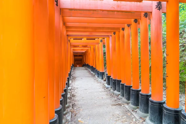 Червоний torii ворота доріжки на fushimi-inari taisha shrine у Ky — стокове фото