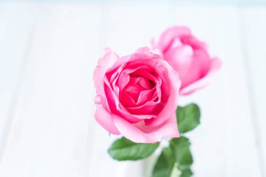 Ahşap arka plan üzerinde cam vazo içinde pembe Gül