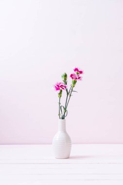 ahşap arka plan üzerinde pembe bahar çiçek