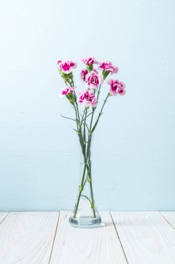 ahşap arka plan üzerinde pembe bahar çiçek