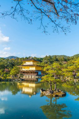 Kinkakuji Tapınağı (altın köşk güzel mimari)