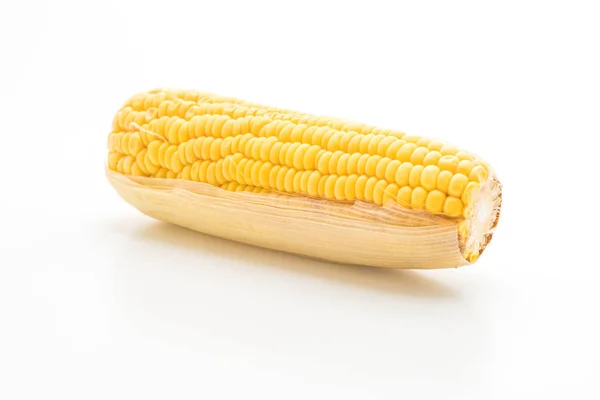 Fresh corn on white background — Stock Photo, Image