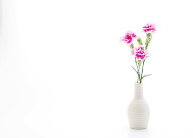 pembe bahar çiçeği