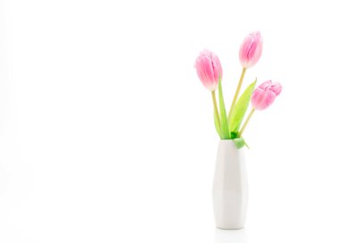 Pembe Lale çiçek Vazoda beyaz arka plan üzerinde