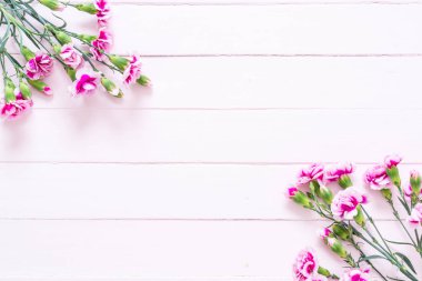 ahşap arka plan üzerinde pembe bahar çiçek