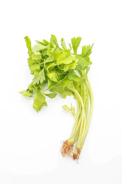 Čerstvý celer na bílém pozadí — Stock fotografie