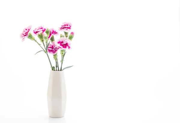 Rosa Frühlingsblume — Stockfoto