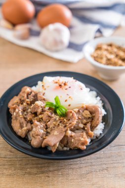 yumurta ile tepesinde pirinç Sarımsak soslu tavada kızartılmış domuz eti